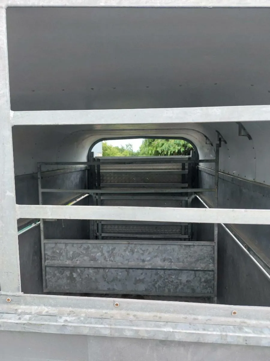 Cattle trailer - Image 3
