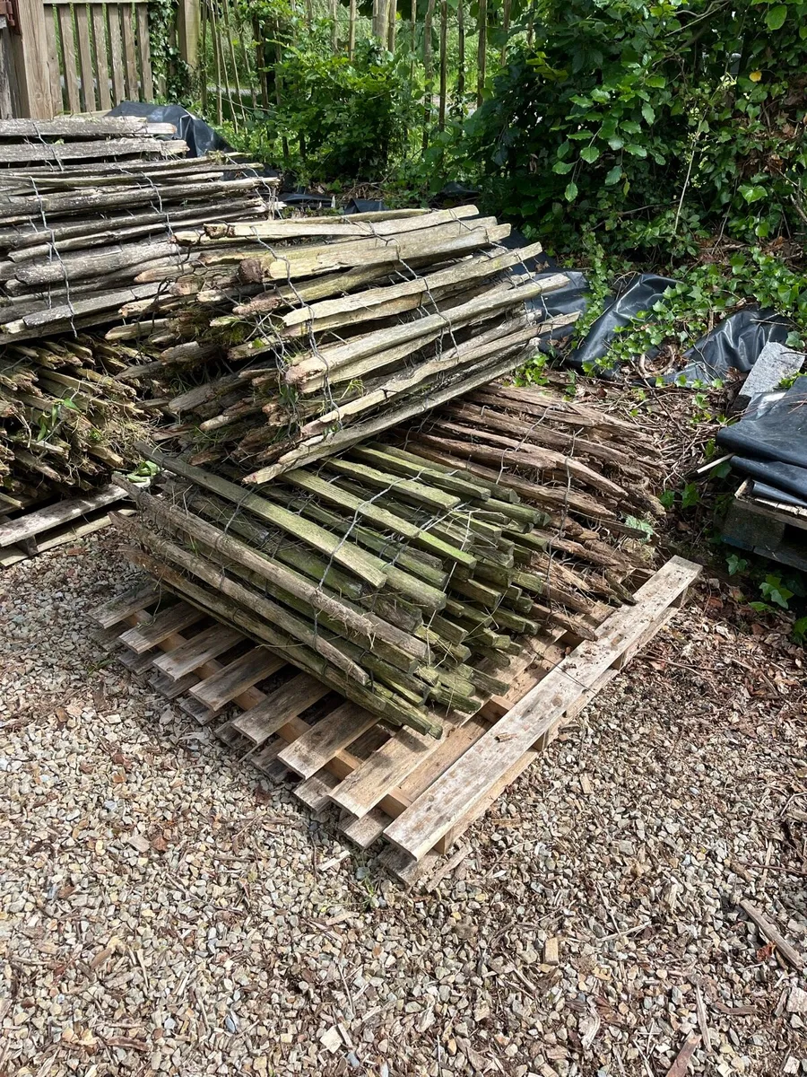 Chestnut / Picket Fencing - Image 1
