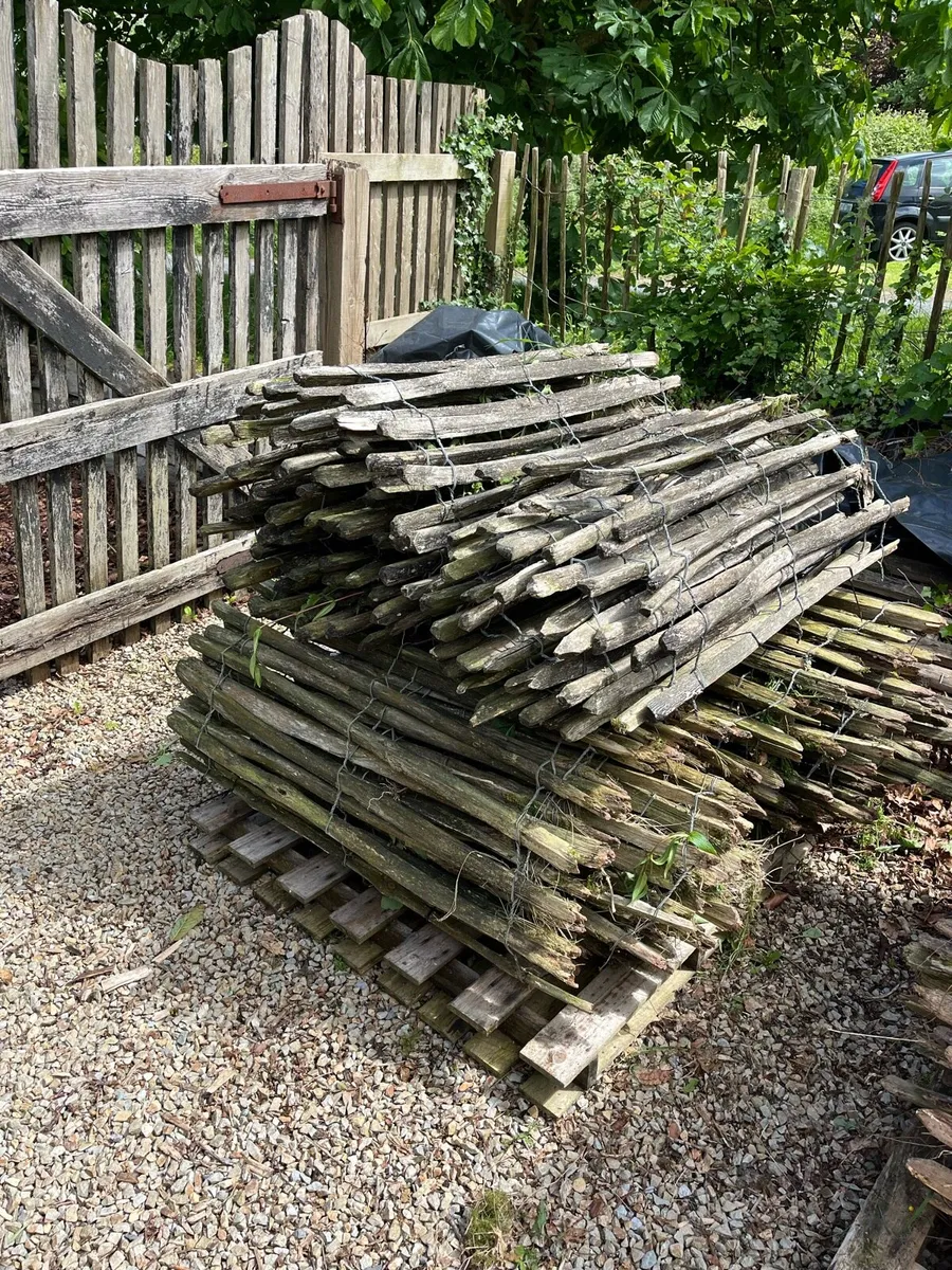 Chestnut / Picket Fencing - Image 2