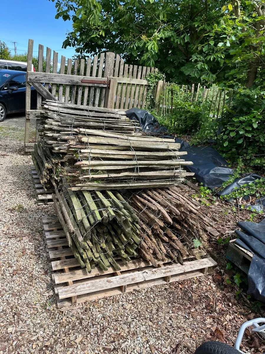 Chestnut / Picket Fencing - Image 3