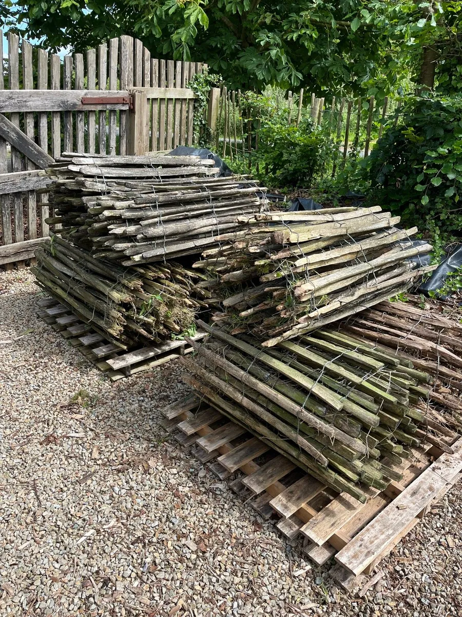 Chestnut / Picket Fencing - Image 4