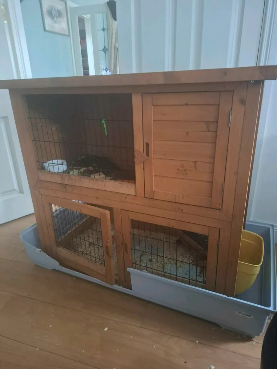 rabit hause - Image 1
