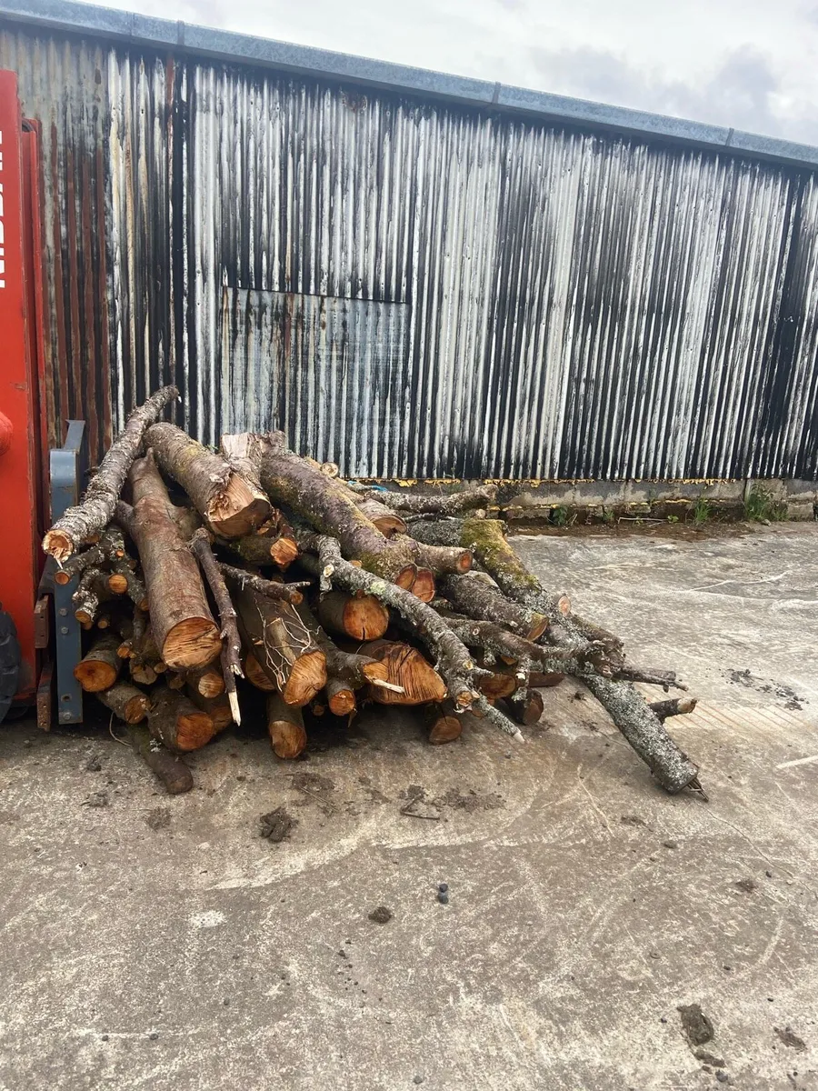 Firewood - Image 1
