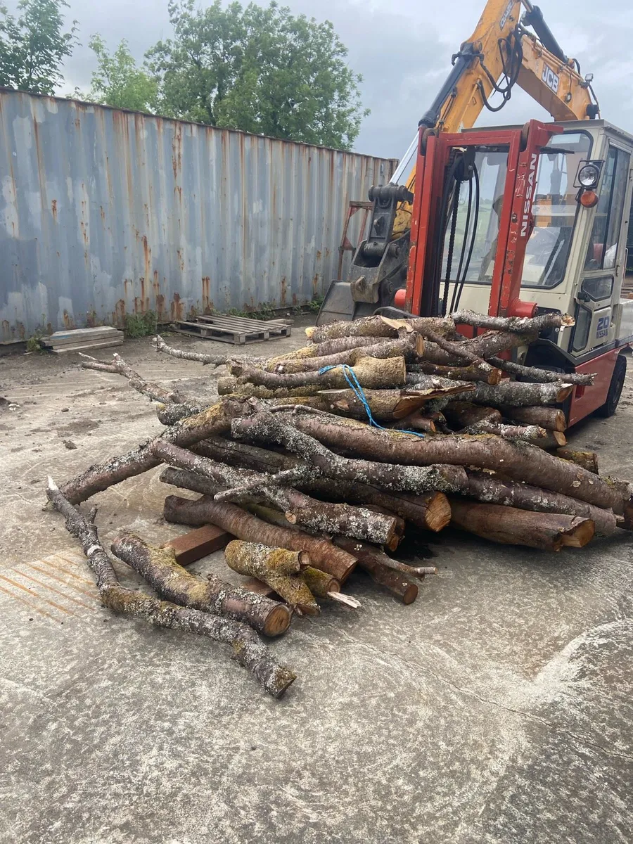 Firewood - Image 2