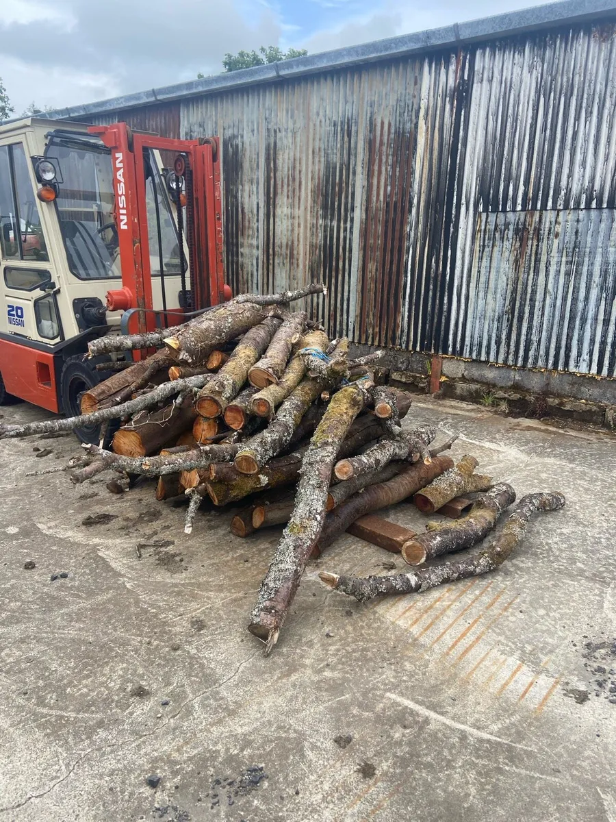 Firewood - Image 3