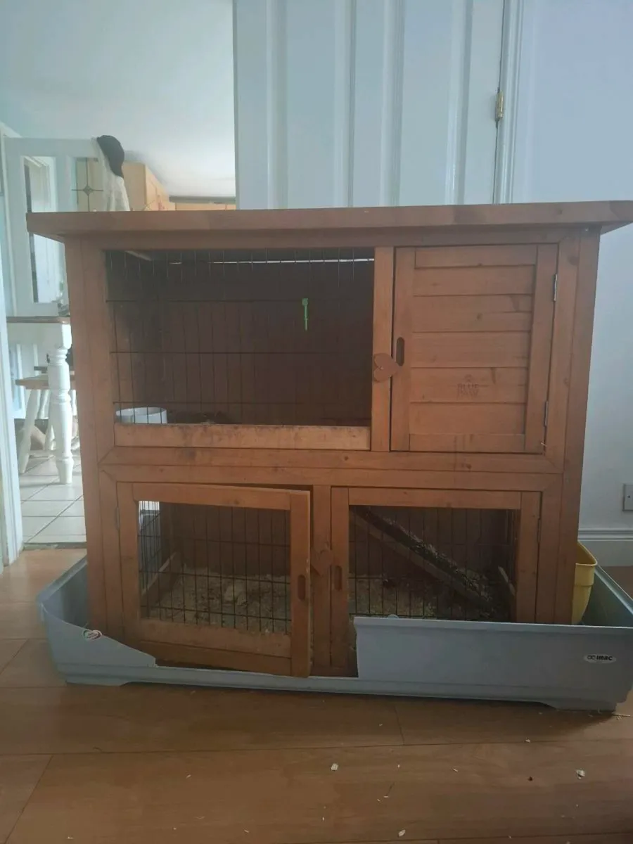 rabit hause - Image 3