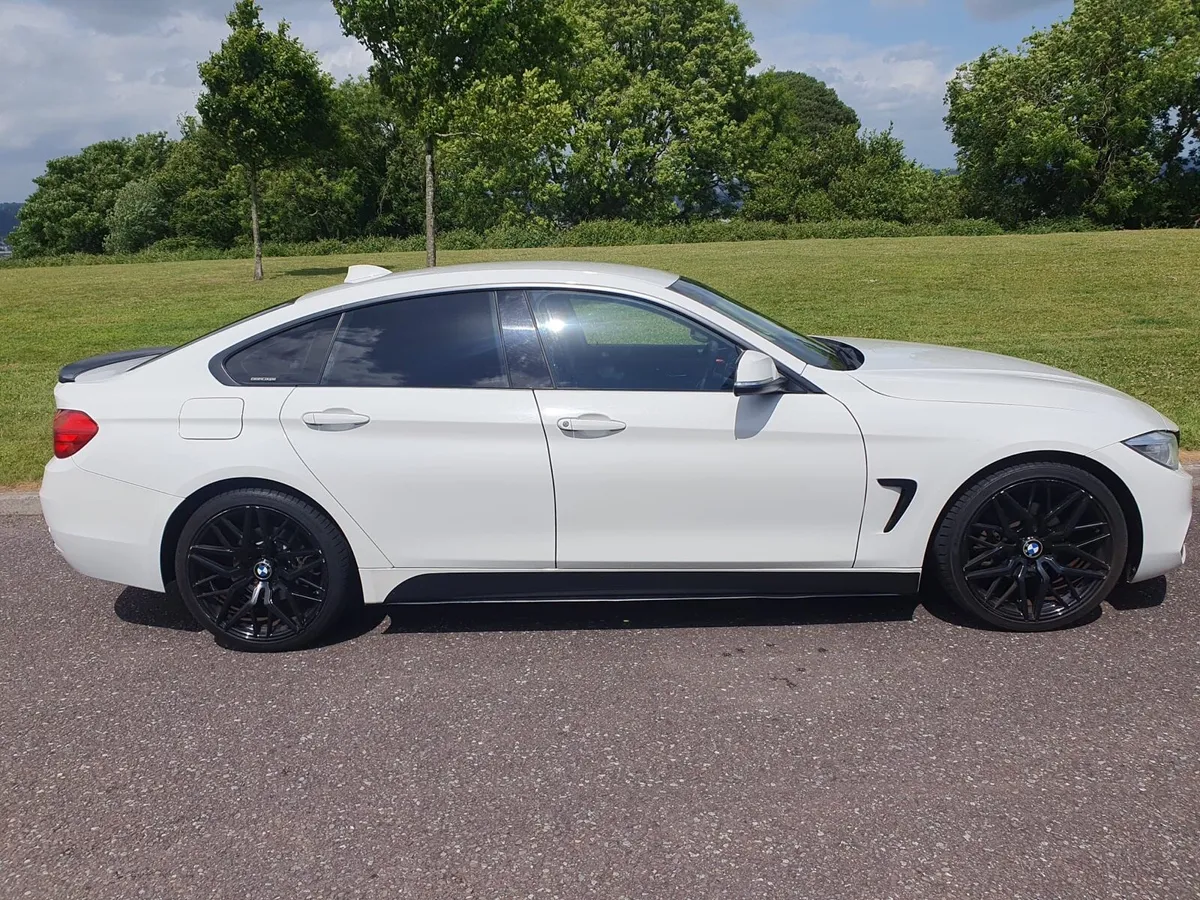 BMW 420 Diesel Sport - Image 1