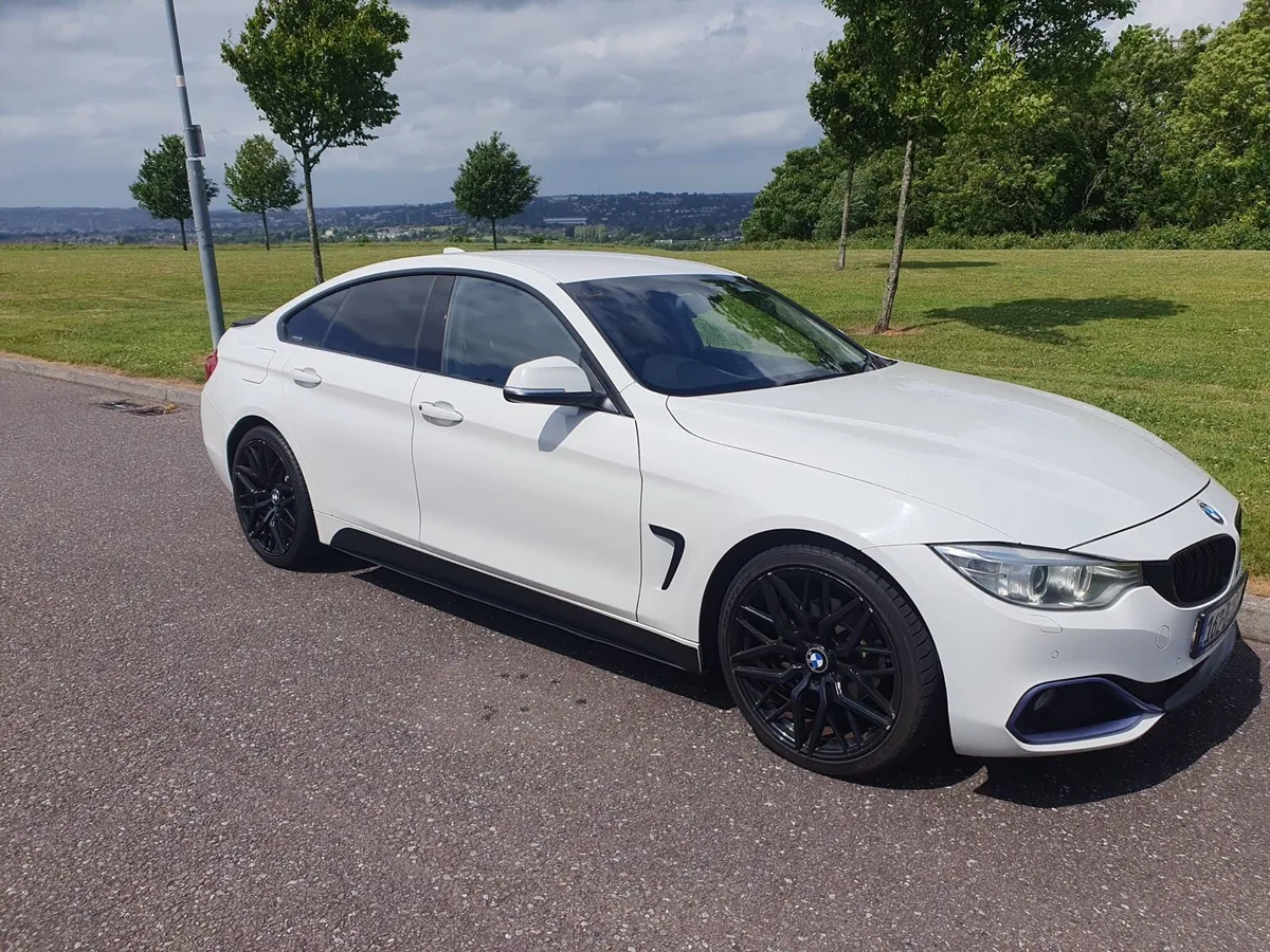 BMW 420 Diesel Sport - Image 2