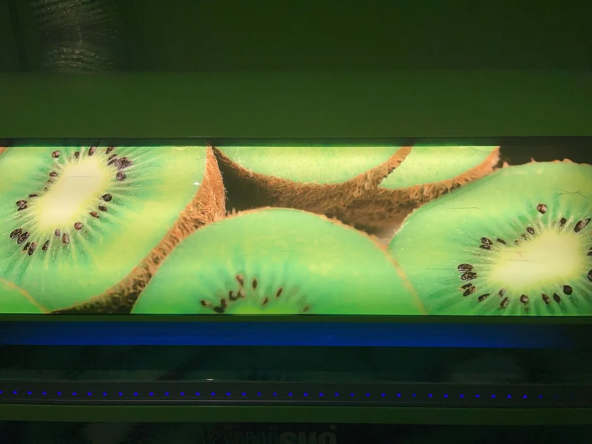 Blackcare Experience sunbeds - Image 3
