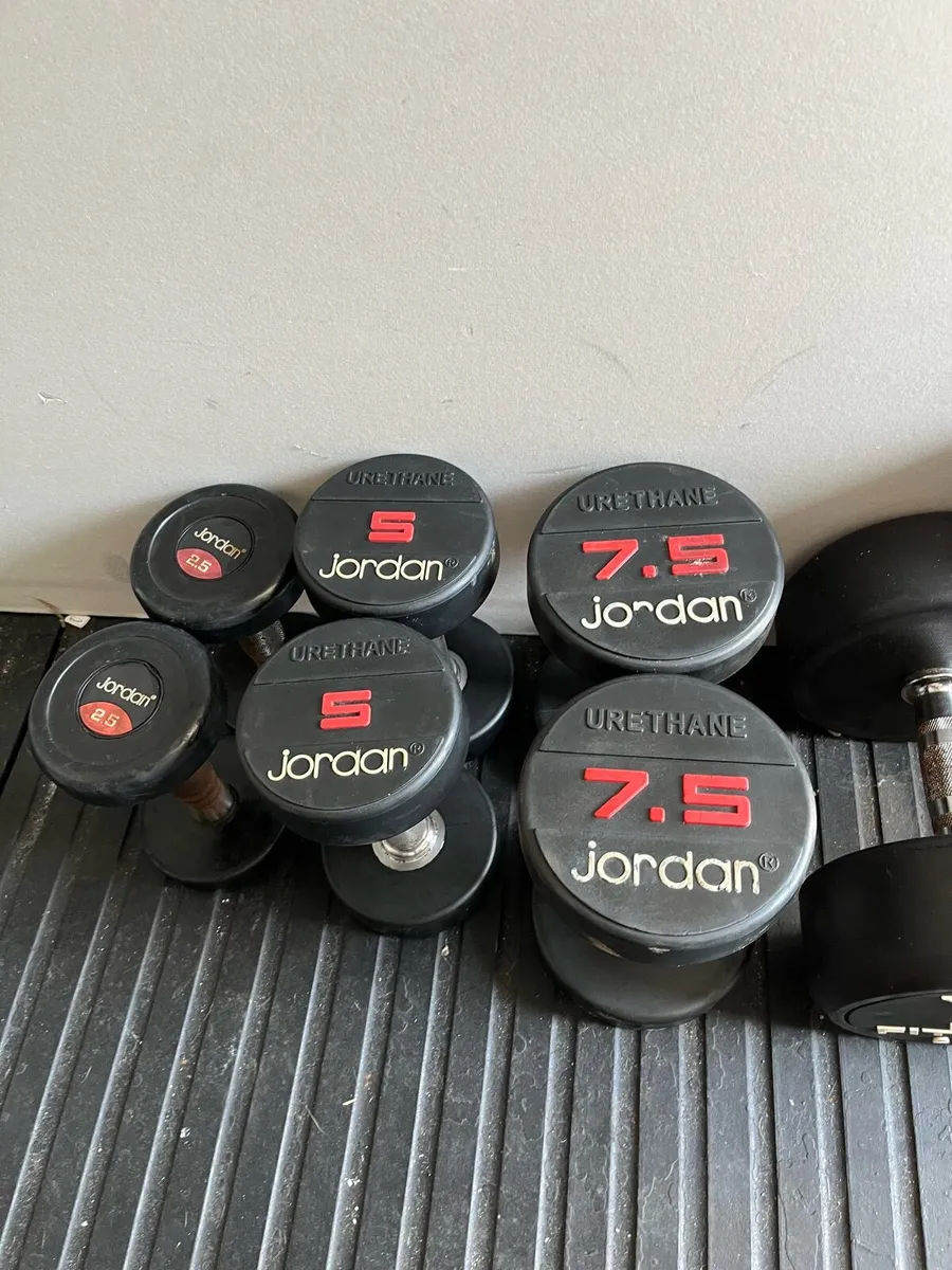 175kg dumbbells commercial - Image 1