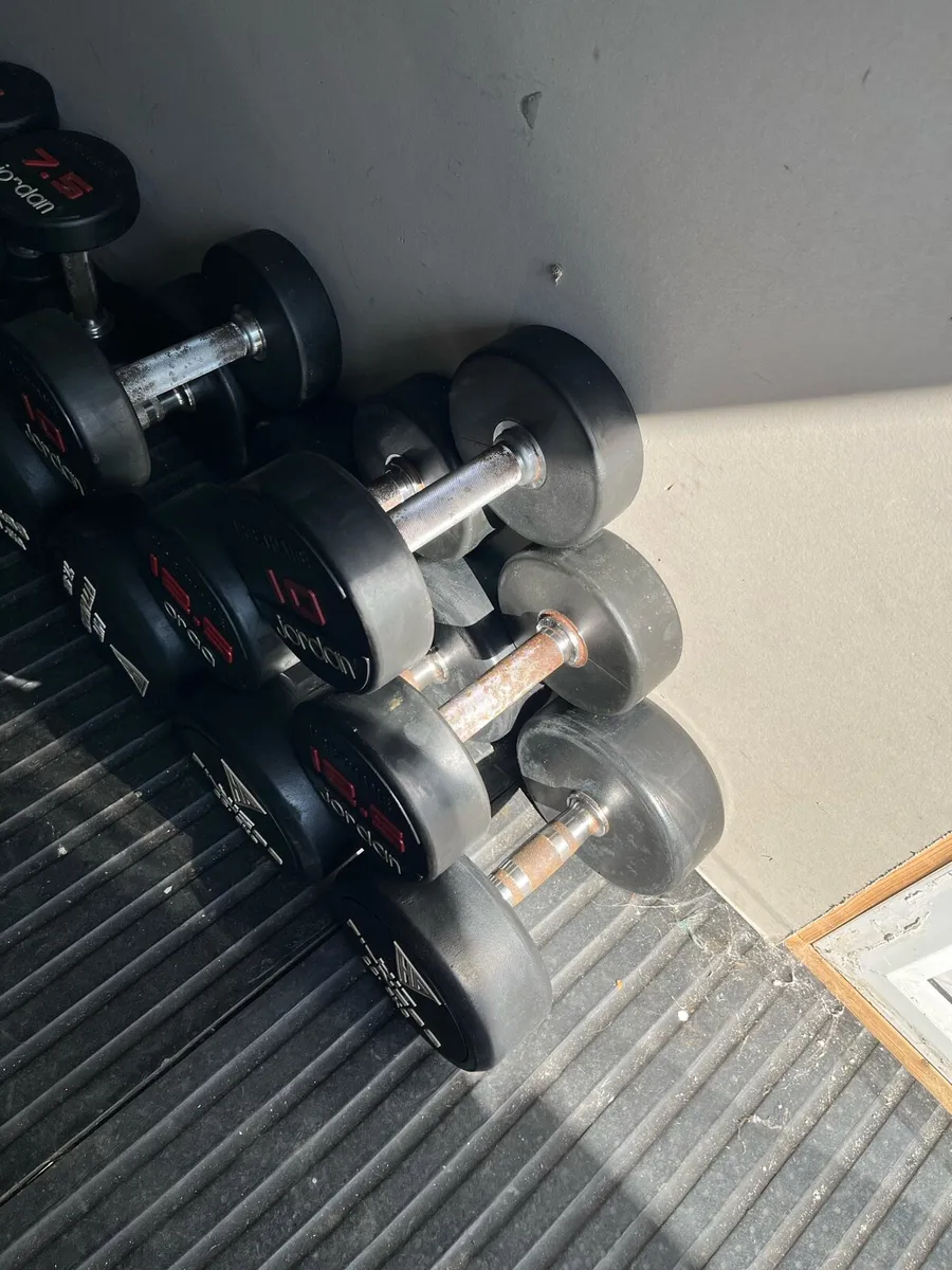 175kg dumbbells commercial - Image 2