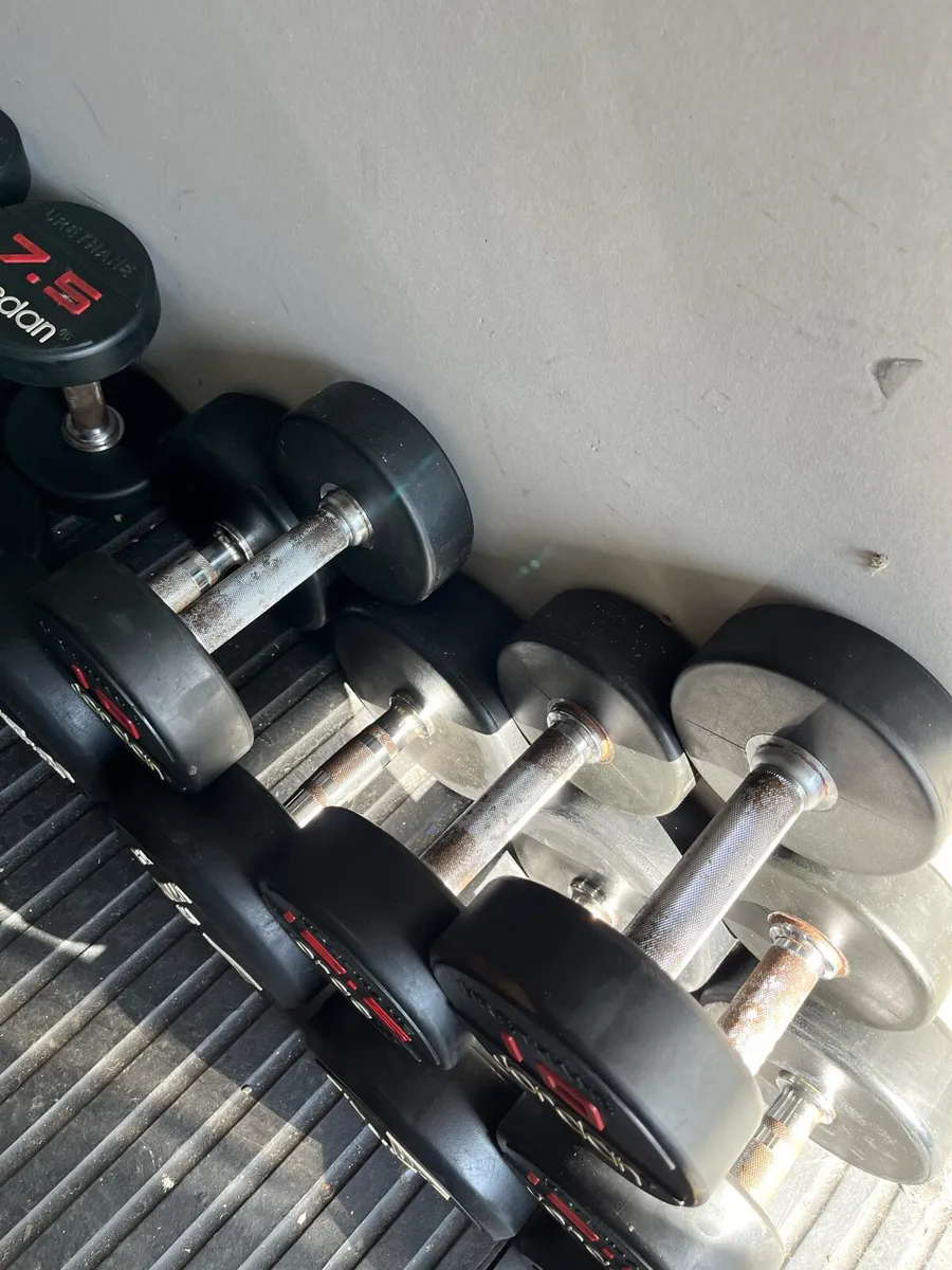 175kg dumbbells commercial - Image 3