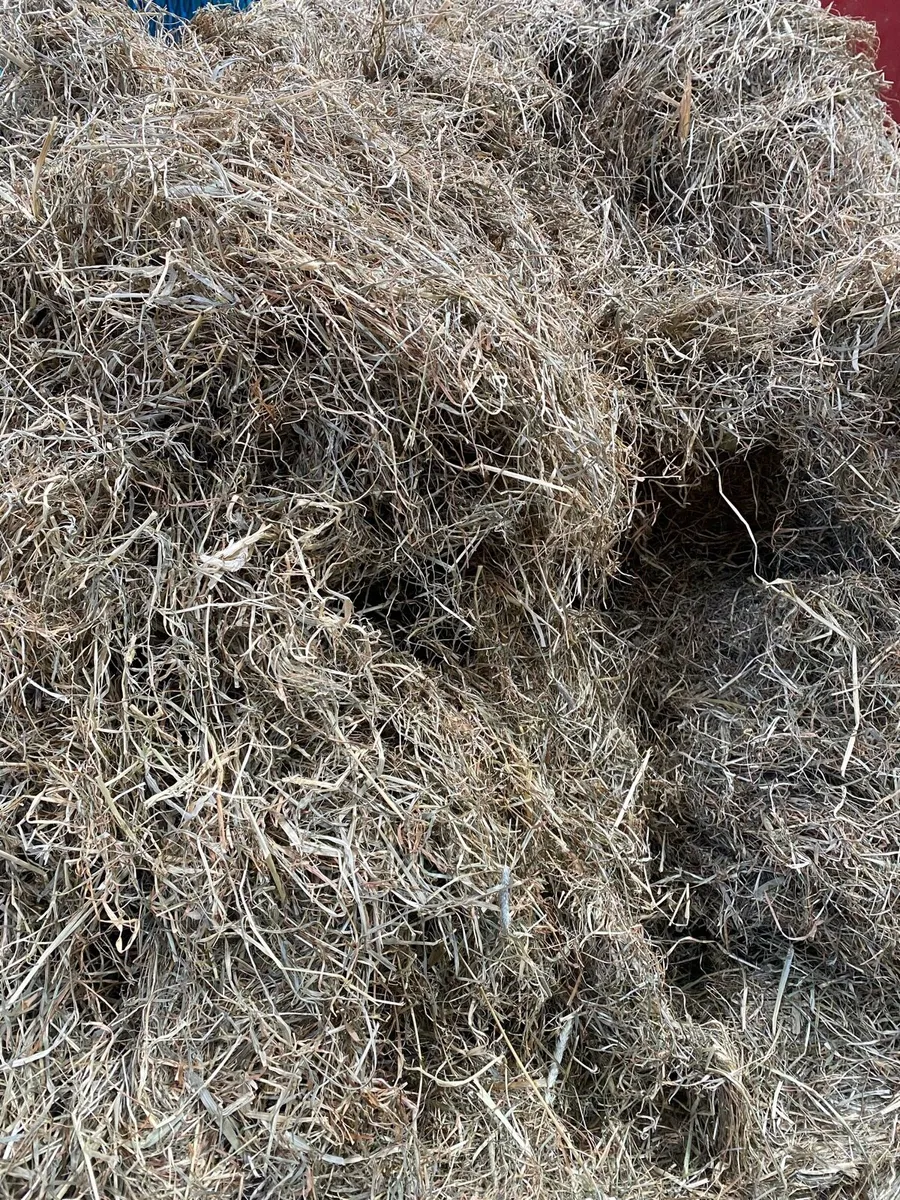 Round bales of well saved Hay - Image 2