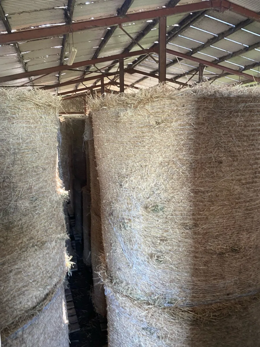 Round bales of well saved Hay - Image 3