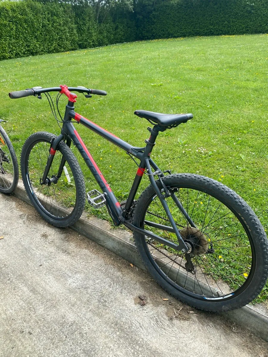 Bikes - Image 1