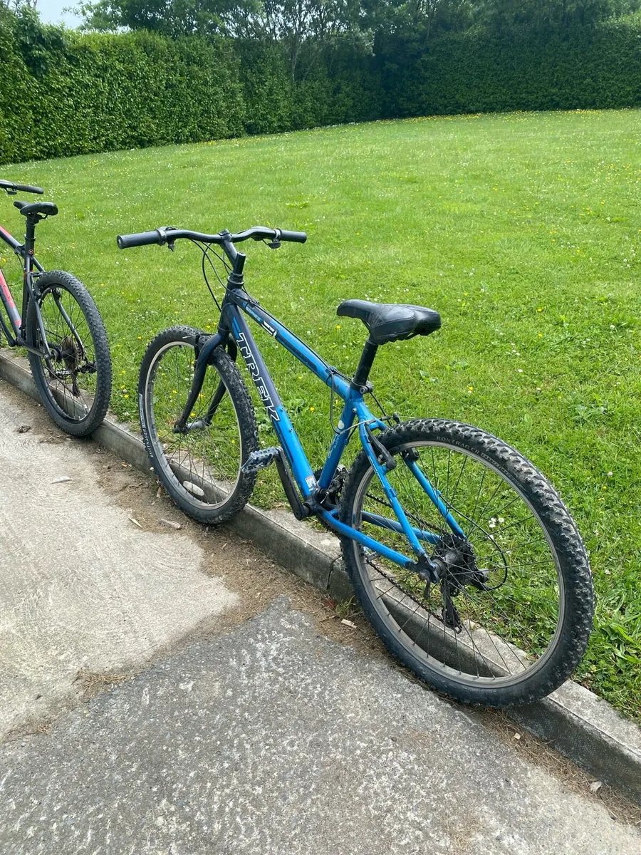 Bikes - Image 2