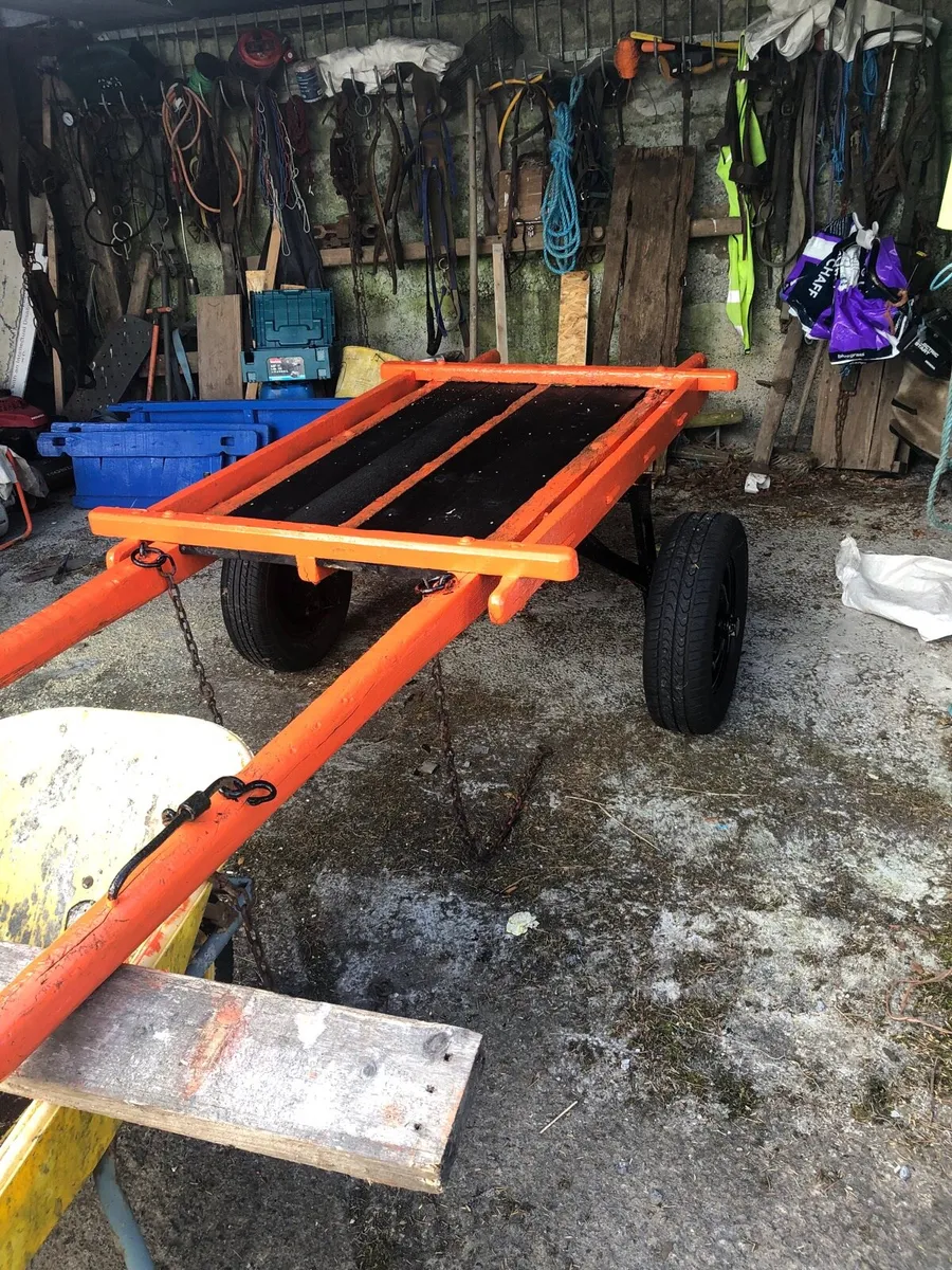 Carts and harness - Image 2