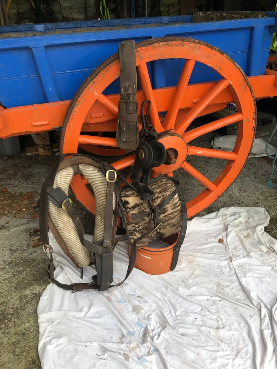 Carts and harness - Image 1