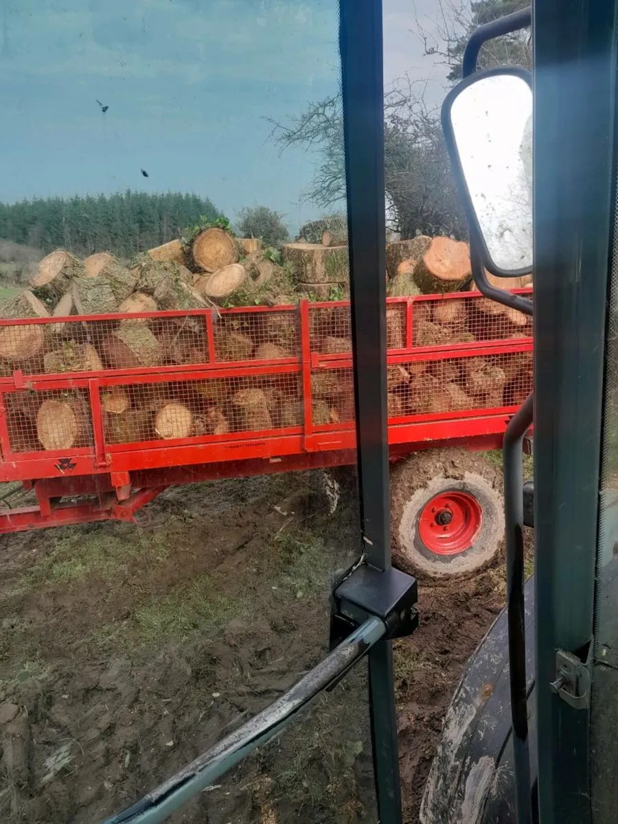 Tipper trailer - Image 2