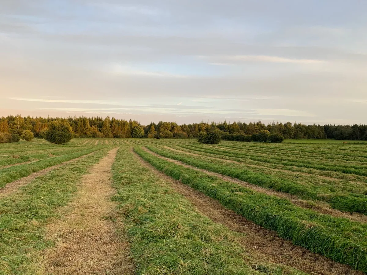Silage
