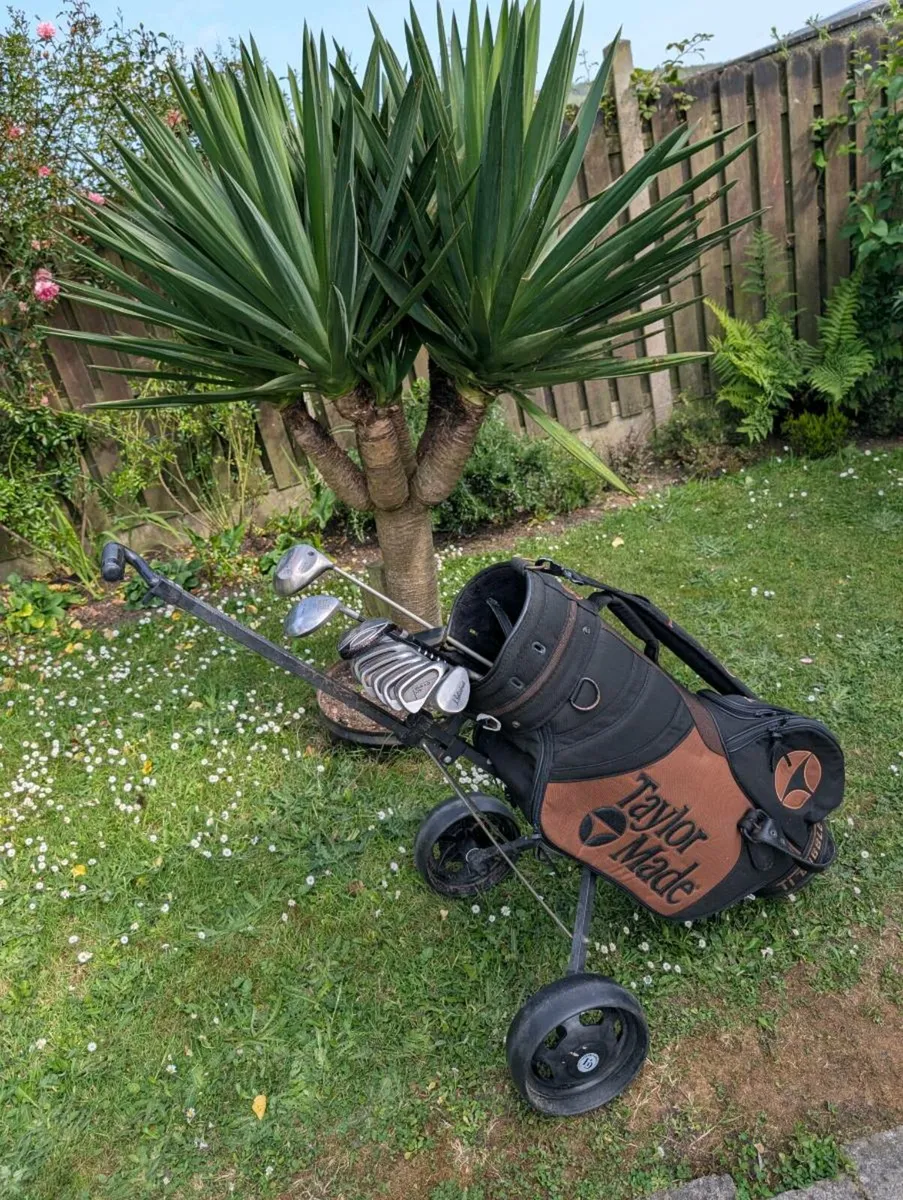 Wilson Golf clubs & Taylormade tour bag quick sale - Image 2