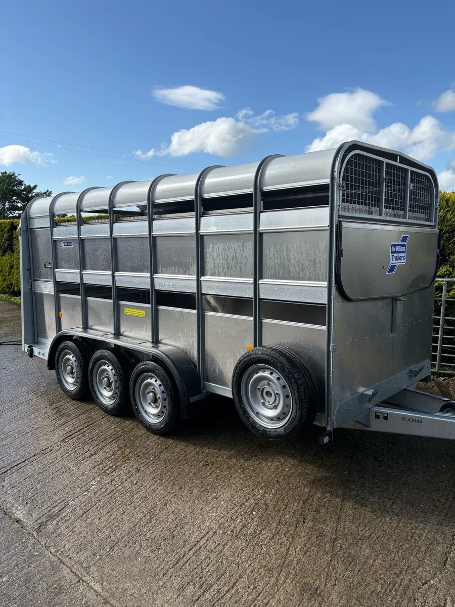 Ifor Williams 2025 sheep decks - Image 1