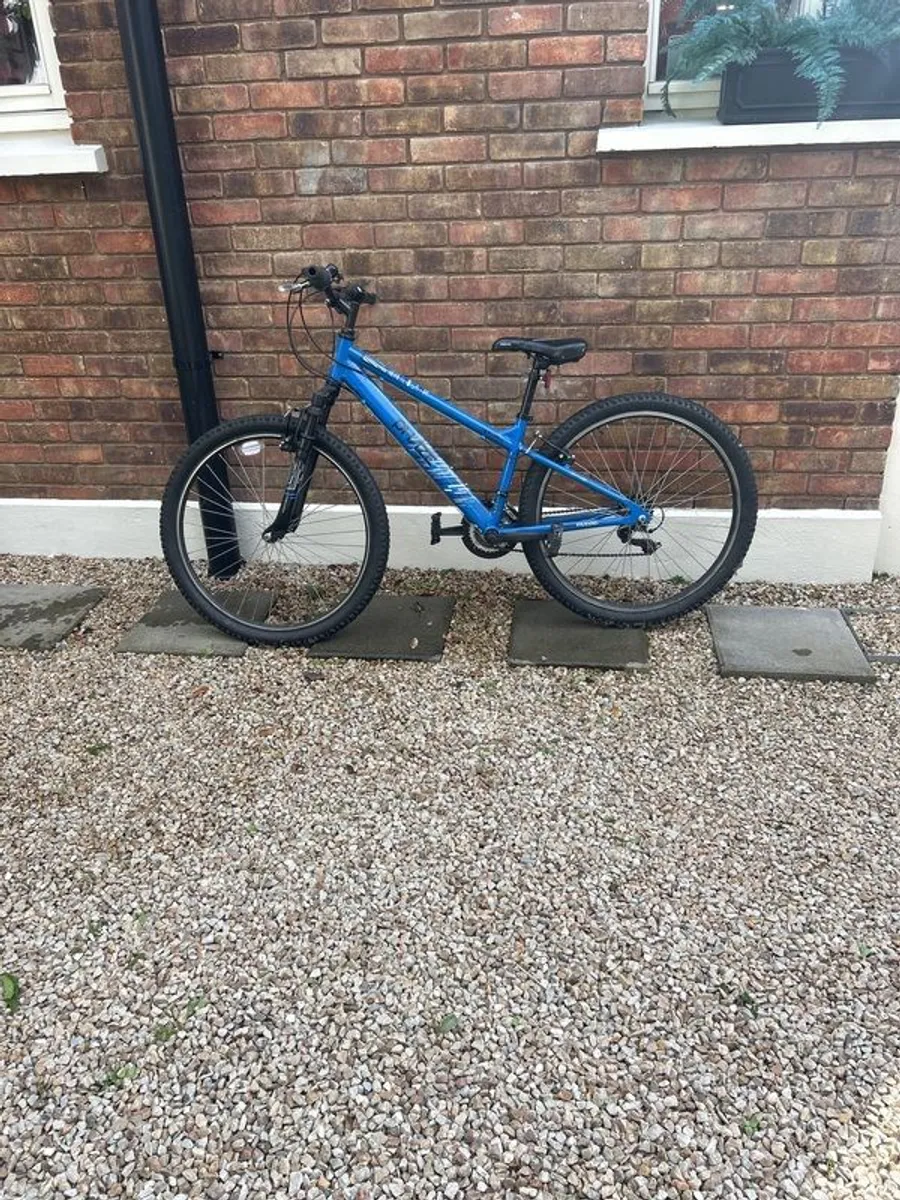 Bike - Image 1