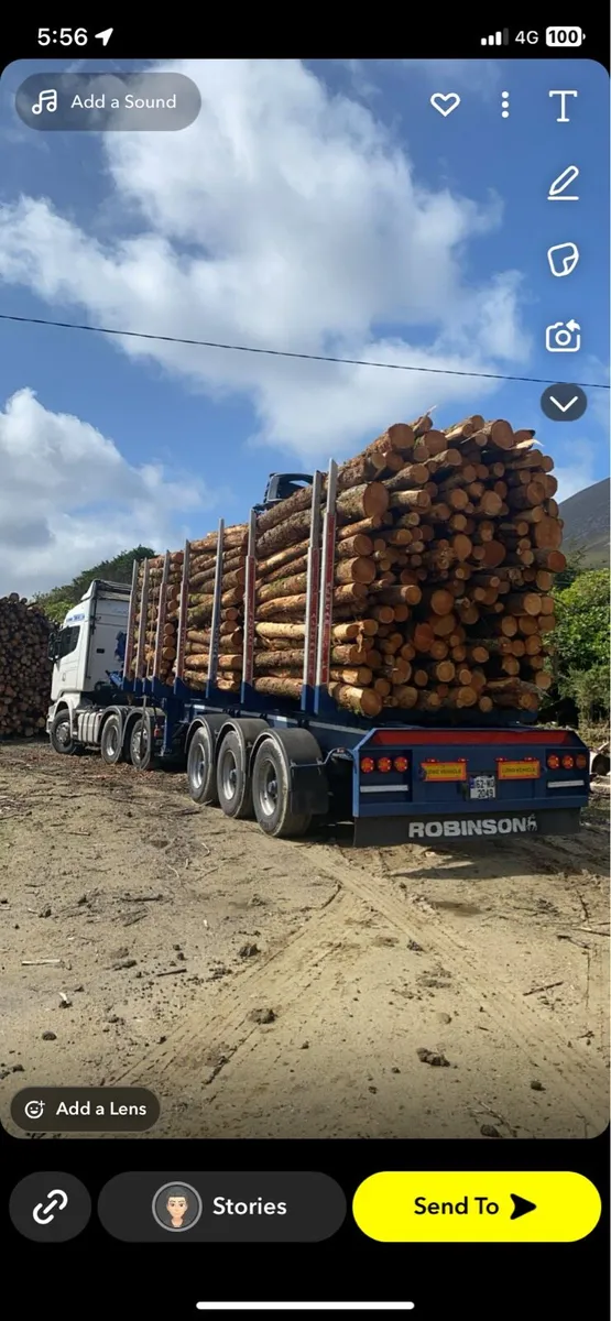 Firewood softwood hardwood - Image 1