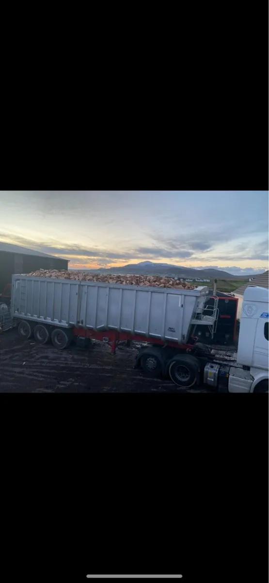 Firewood softwood hardwood - Image 2