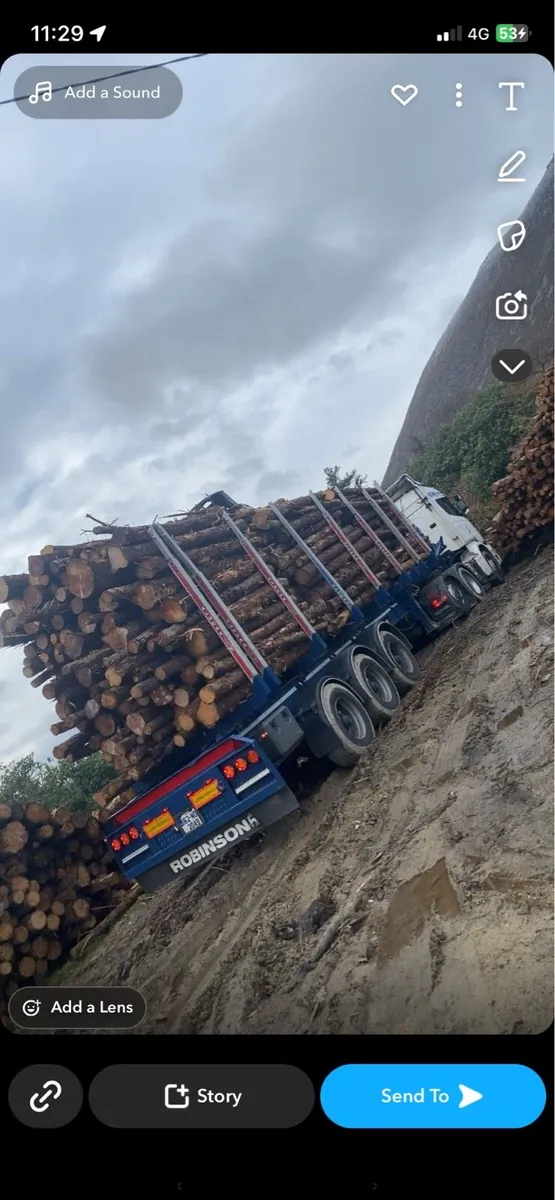 Firewood softwood hardwood - Image 3
