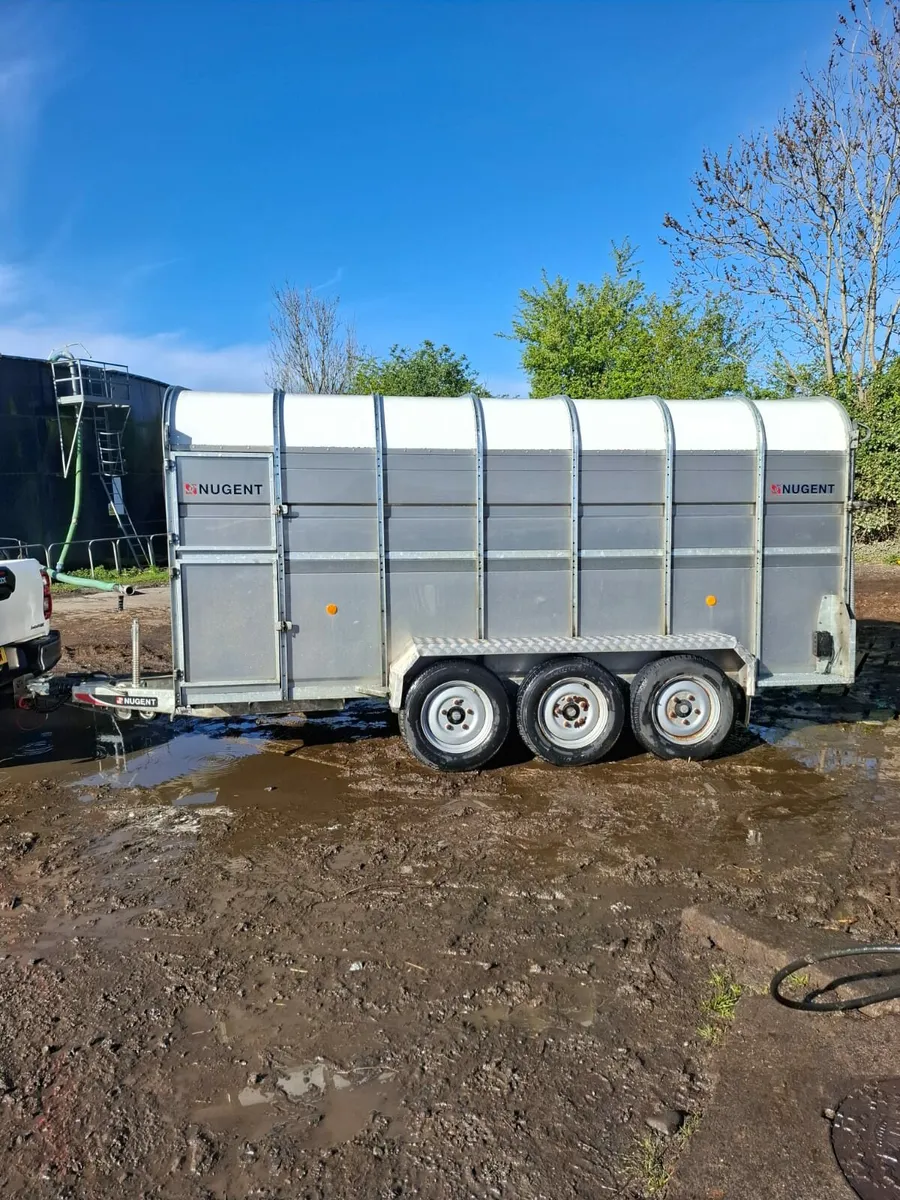 Nugent 14FT Triaxle As New - Image 2