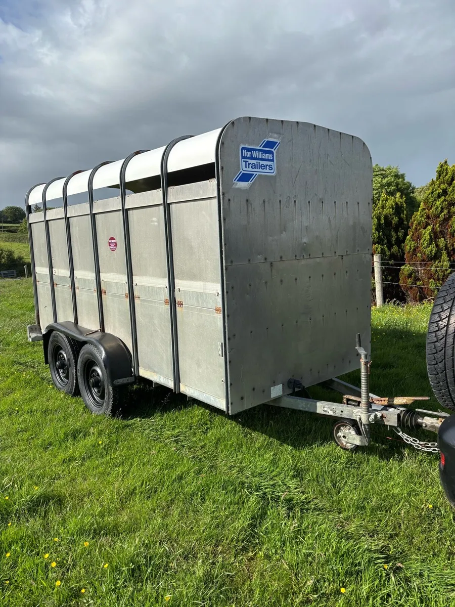 Ifor Williams 12x5 cattle box - Image 1
