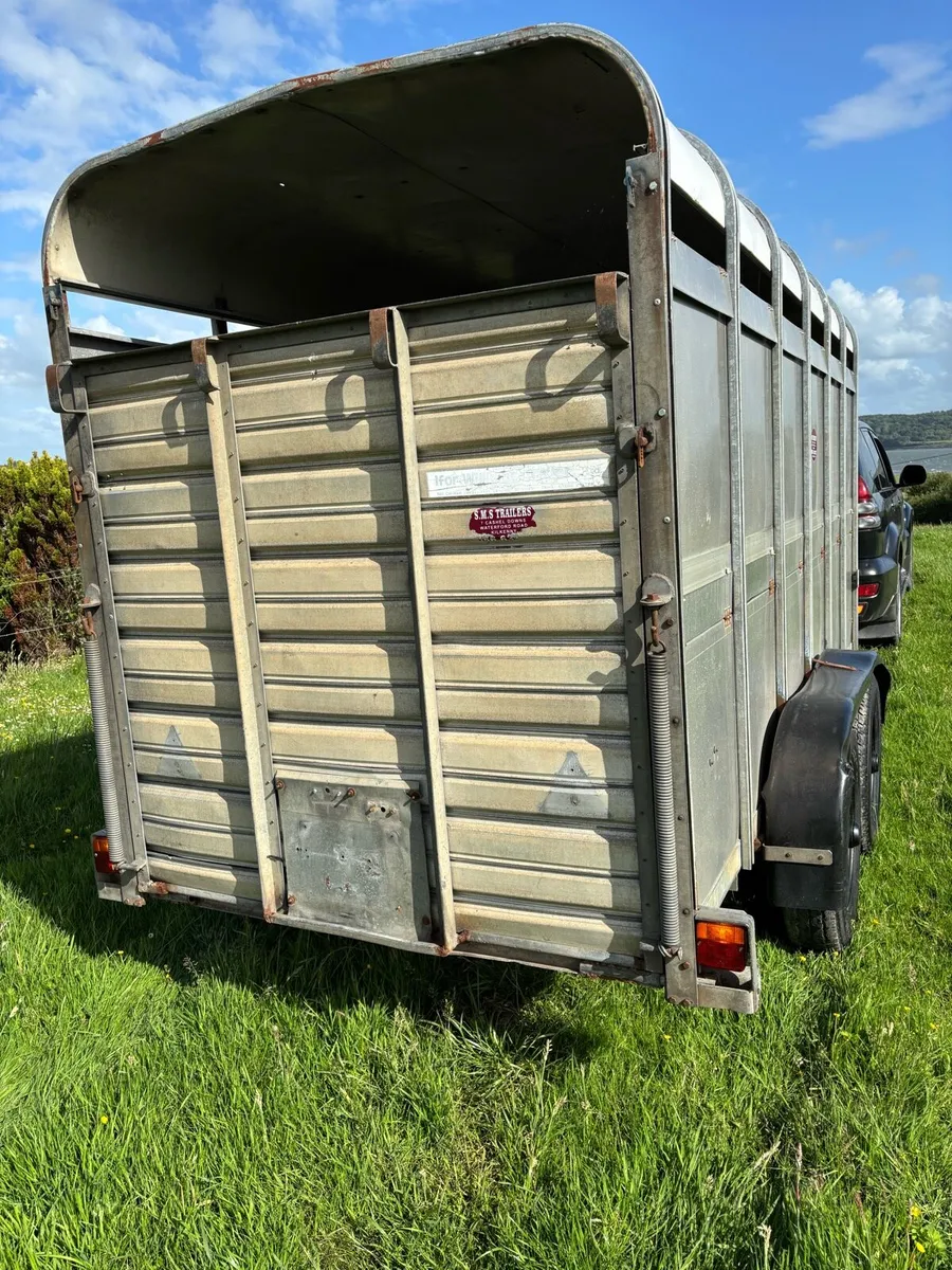 Ifor Williams 12x5 cattle box - Image 2