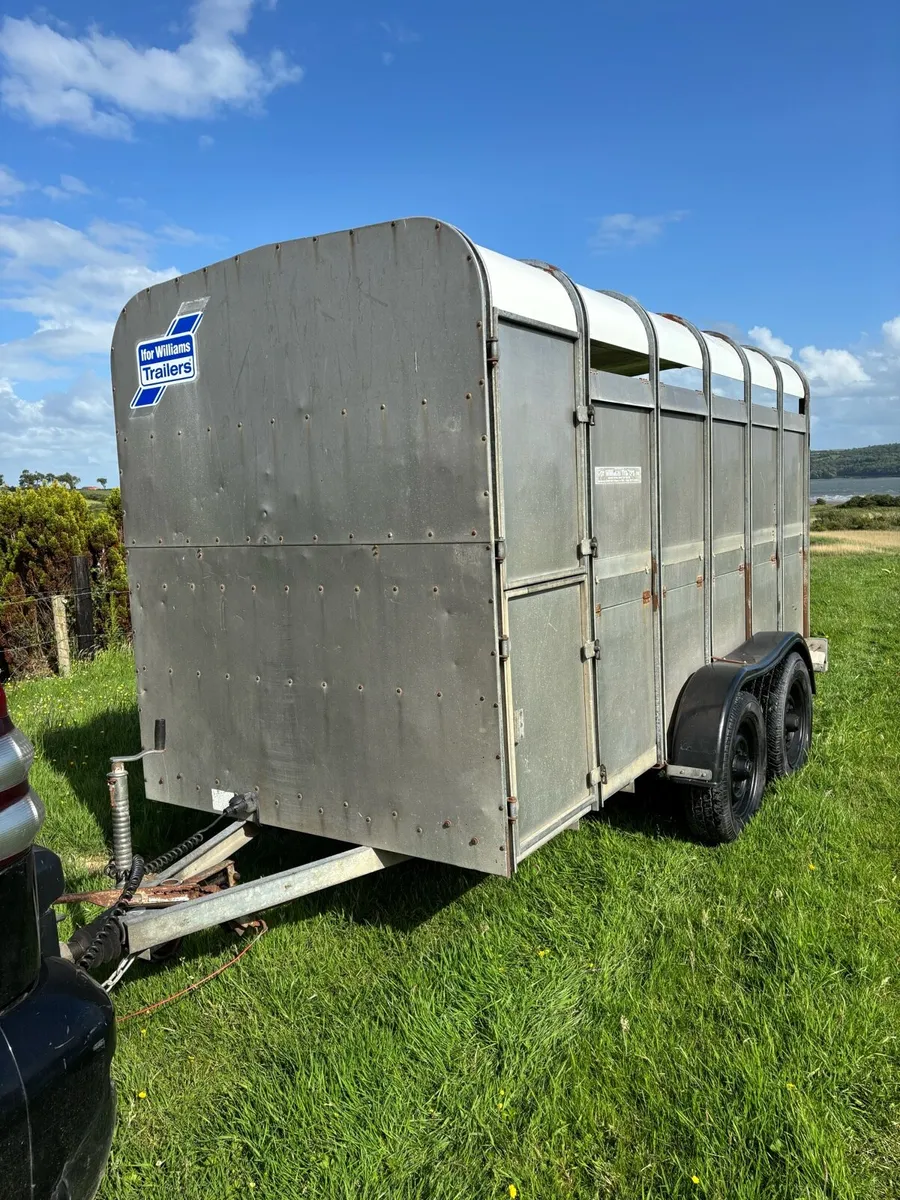Ifor Williams 12x5 cattle box - Image 3