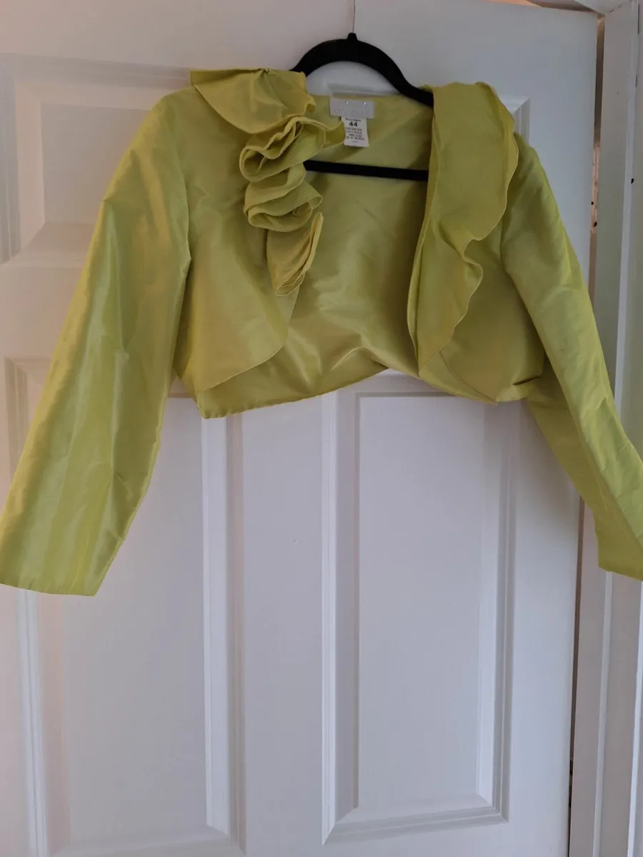 Occasion dress and matching jacket - Image 3