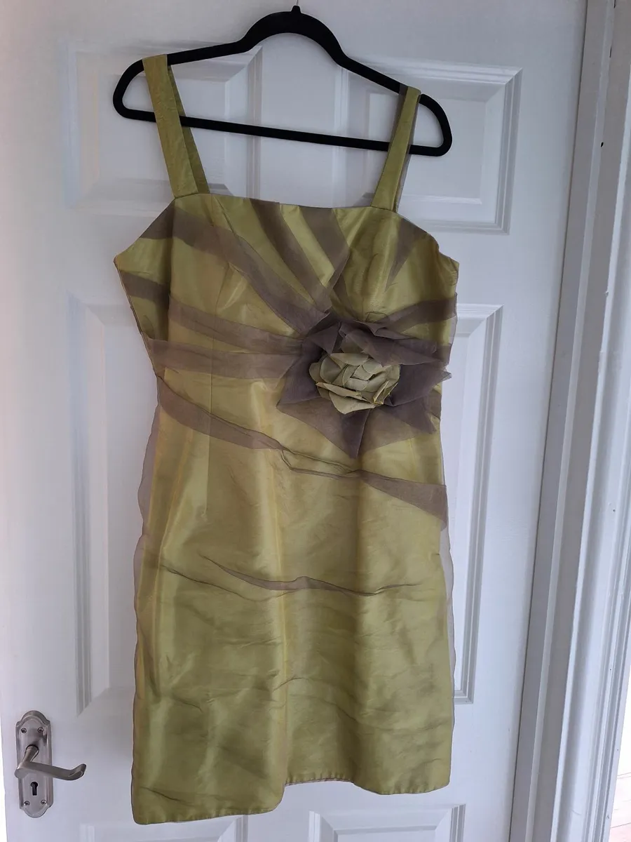 Occasion dress and matching jacket - Image 4