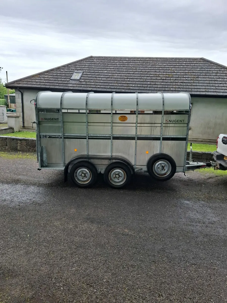 Nugent 12FT As New - Image 2