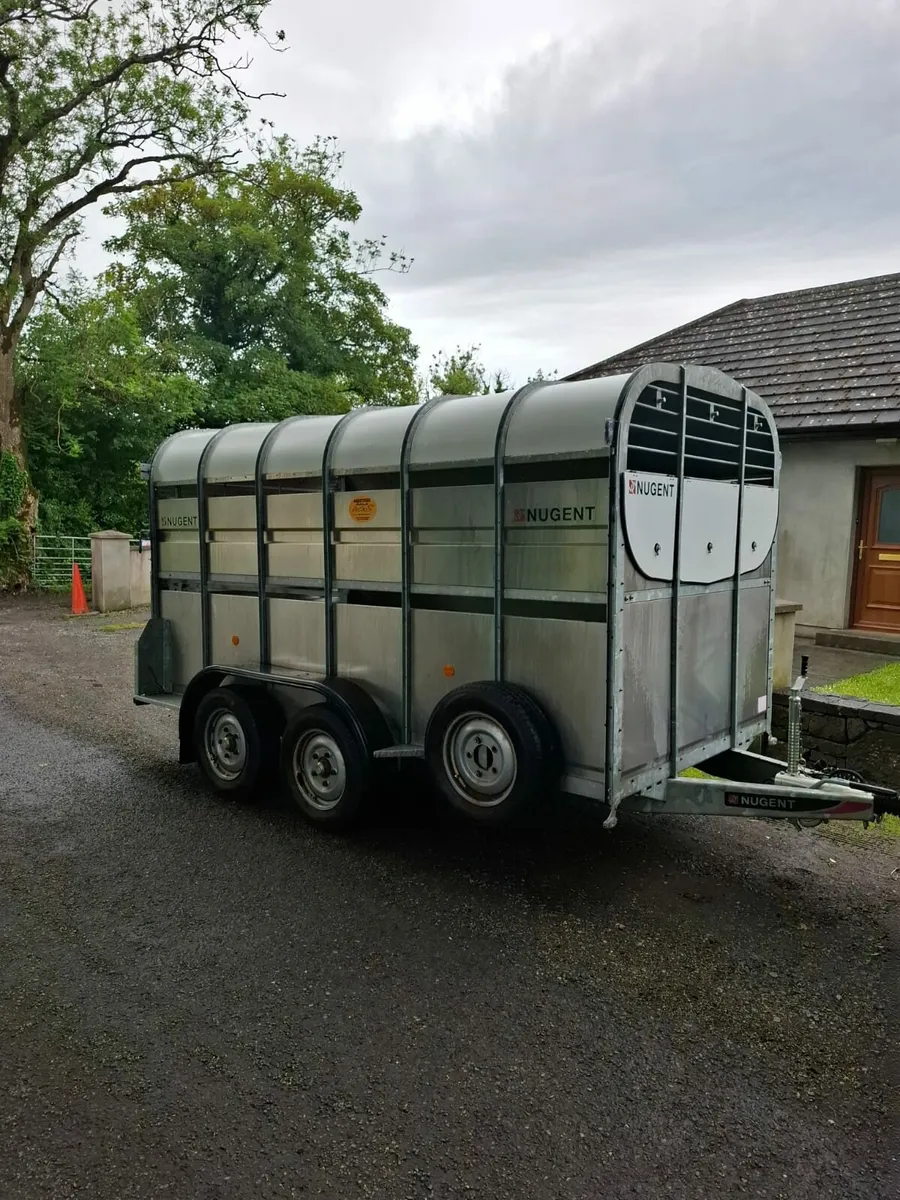 Nugent 12FT As New - Image 1