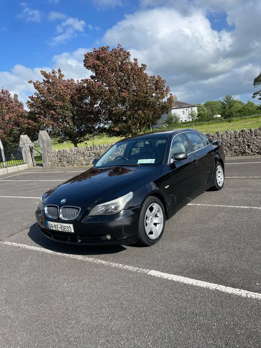 Bmw 525d manual - Image 4