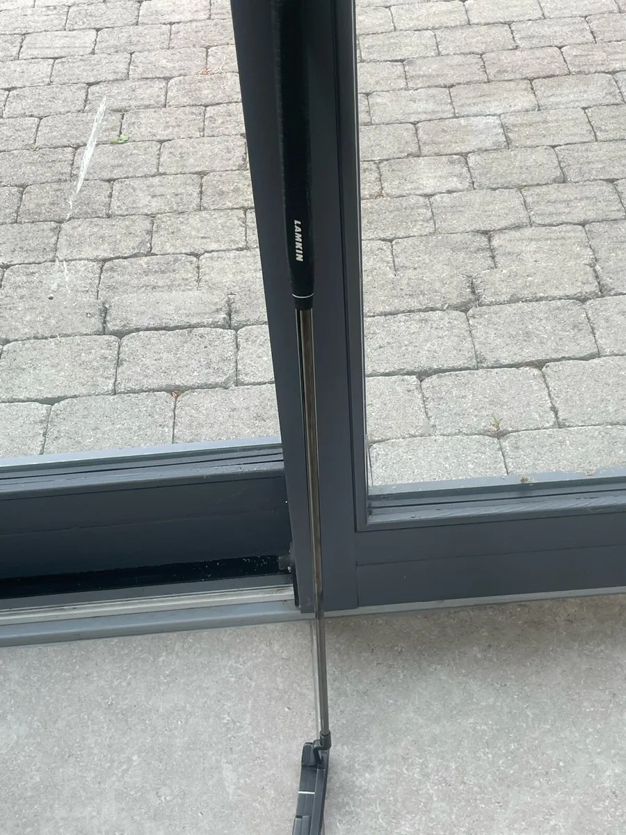 Ping Anser 2 - Image 1