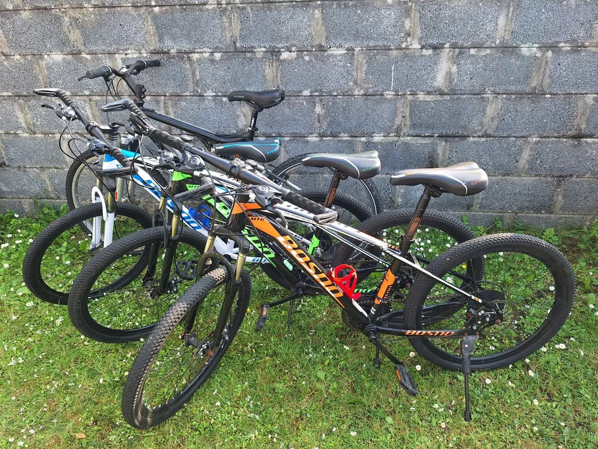 Bike - Image 1
