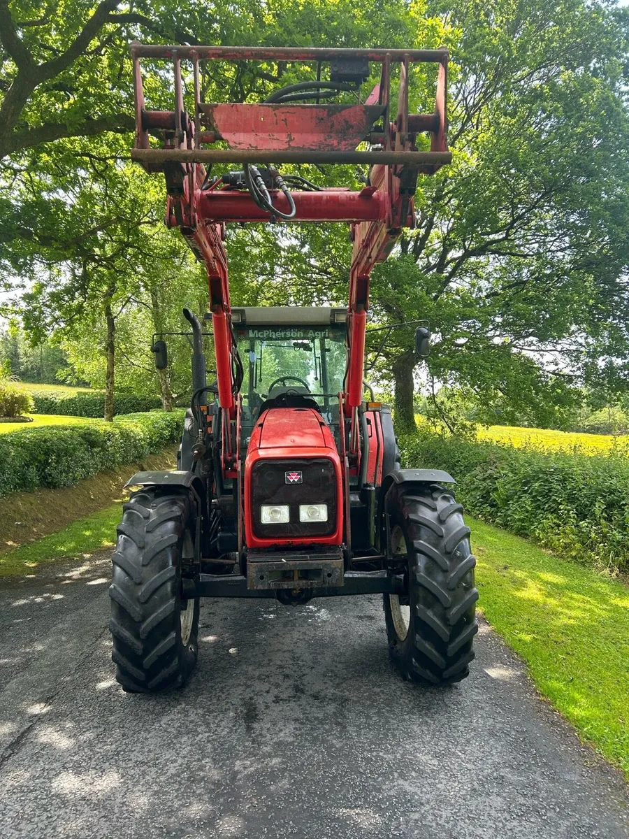 Massey Ferguson 4370 + loader - Image 2