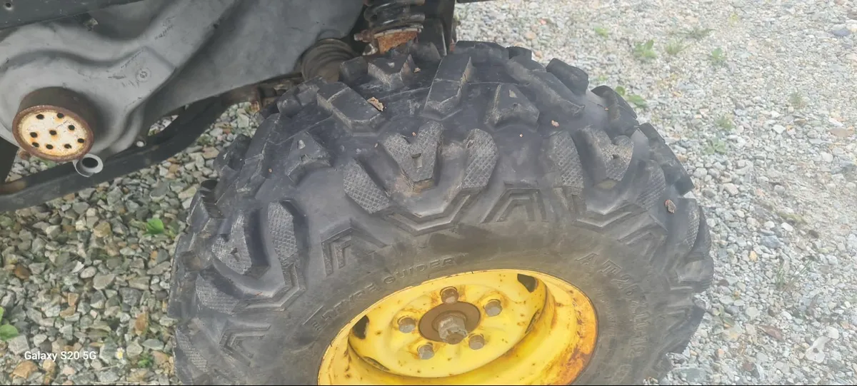 Gator - Image 2