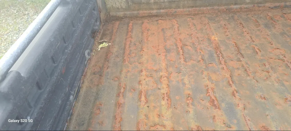 Gator - Image 3