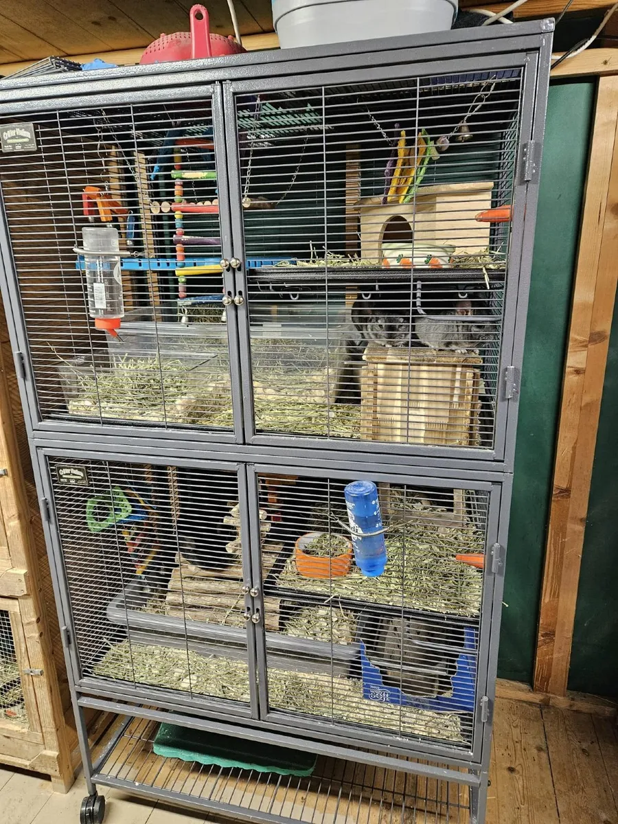 Cage suitable for Chinchillas, Degu, Rats,  Sugar - Image 2