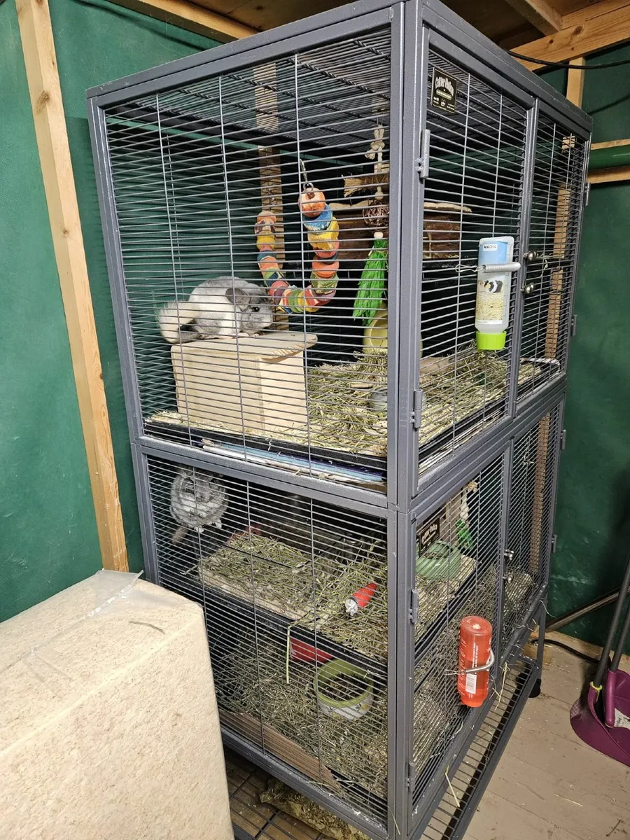 Cage suitable for Chinchillas, Degu, Rats,  Sugar - Image 4