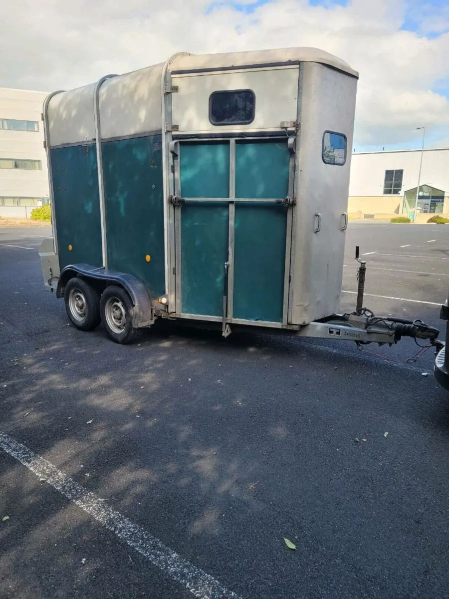 2004 ifor Williams horse box 505 with full divider - Image 2