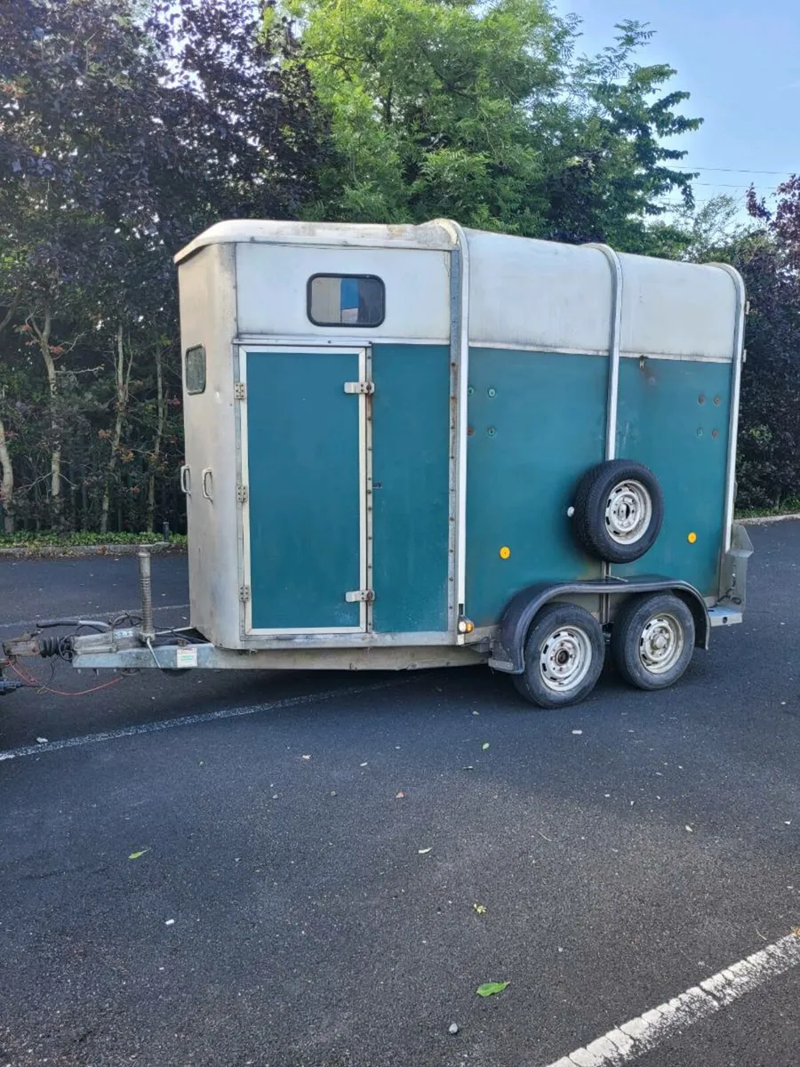 2004 ifor Williams horse box 505 with full divider - Image 1