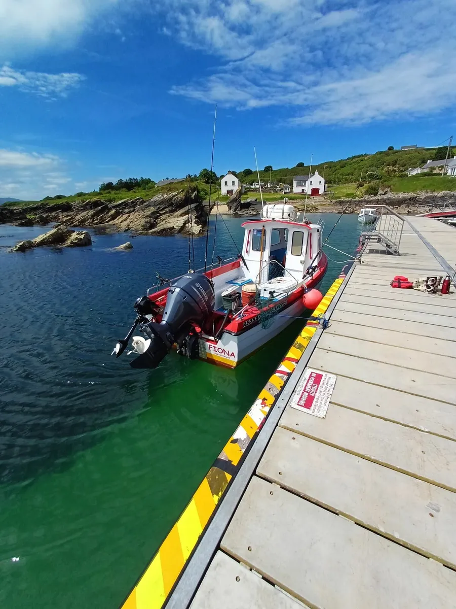 Redbay fisher 21 - Image 4