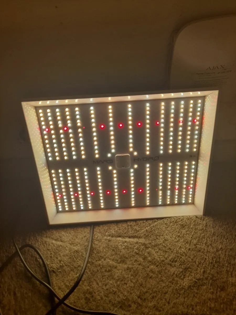 Mars Hydro TS 1000 full spectrum lights. LED Grow